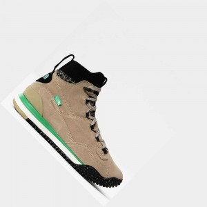 Botas The North Face Back-to-berkeley Sport Boots Iii Hombre Negros | 35721-LVDA