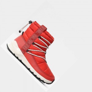 Botas The North Face Thermoball™ Lace-up Mujer Negros | 01259-STLI