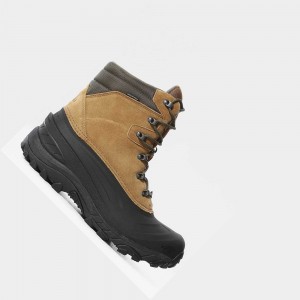 Botas de Invierno The North Face Chilkat Iv Hombre Marrom Verdes | 43758-DKQA