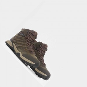 Botas de Montaña The North Face Hedgehog Hike Ii Waterproof Mid Mujer Marrom Morados | 15036-WBGZ