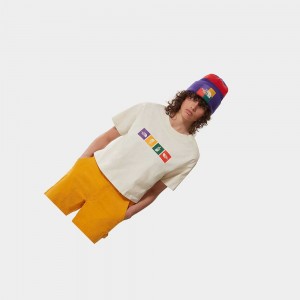 Camiseta The North Face Colour Block Cropped Mujer Blancos | 15840-XRDT