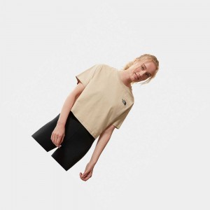 Camiseta The North Face Cropped Simple Dome Mujer Marrom Claro | 79608-ZNJT