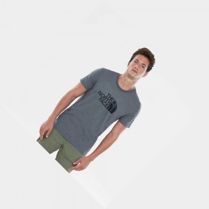 Camiseta The North Face Easy Hombre Grises | 14308-CJBP