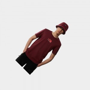 Camiseta The North Face Fine Alpine Equipment 3 Hombre Rojos | 20374-UGVZ