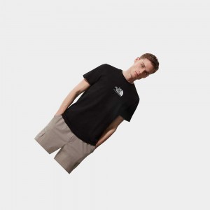 Camiseta The North Face Fine Alpine Equipment 3 Hombre Negros | 62805-MCTZ
