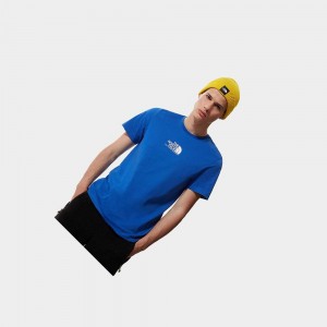Camiseta The North Face Fine Alpine Equipment 3 Hombre Azules | 34092-GQVR
