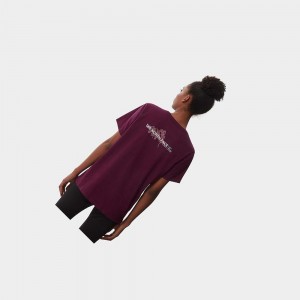 Camiseta The North Face Foundation Graphic Mujer Morados | 23794-RFJU