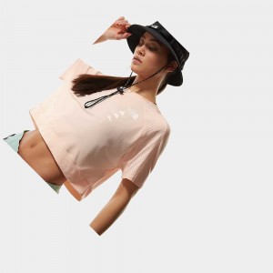 Camiseta The North Face Glacier Mujer Albaricoque | 21065-HYRN