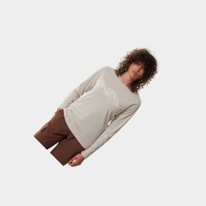 Camiseta The North Face Graphic Long-sleeve Mujer Plateados Grises | 52730-CXIJ