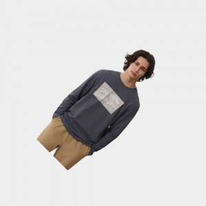 Camiseta The North Face Image Ideals Long-sleeve Hombre Grises | 17364-EBWP