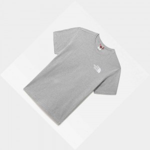 Camiseta The North Face International Classic Climb Hombre Grises Claro | 20351-QCZL