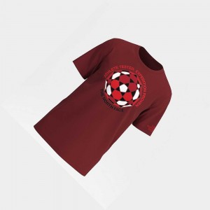 Camiseta The North Face International Hombre Rojos | 34260-WMCX