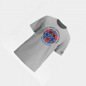 Camiseta The North Face International Hombre Grises Claro | 27639-TVFN