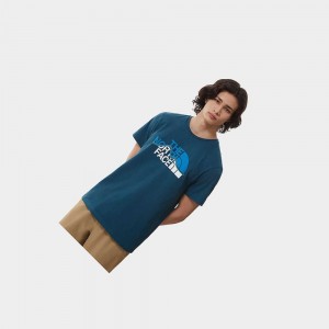 Camiseta The North Face Mountain Line Hombre Azules Blancos | 41756-BLCJ