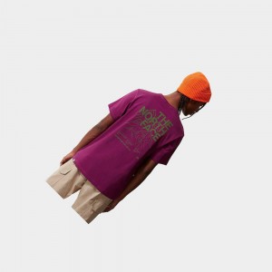 Camiseta The North Face Mountain Outline Hombre Morados | 95371-KJDC