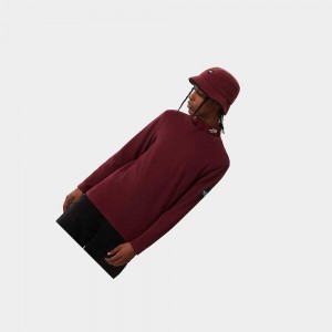 Camiseta The North Face Mtn Archives Long-sleeve Hombre Rojos | 42813-YAEO