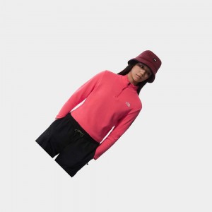 Camiseta The North Face Mtn Archives Long-sleeve Mujer Rosas | 91706-DLGF