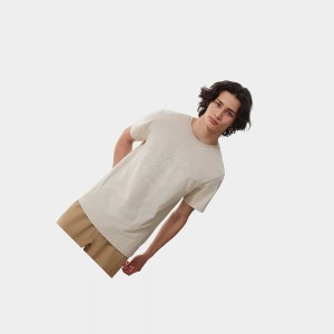 Camiseta The North Face Natural Wonders Hombre Plateados Grises | 60714-YOFS