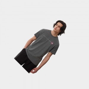 Camiseta The North Face Nse Hombre Grises Morados | 94206-GWQS