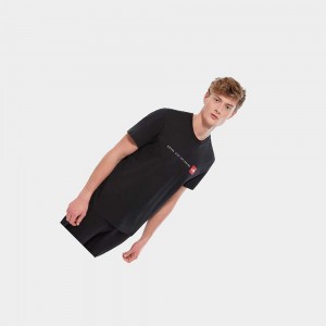 Camiseta The North Face Nse Hombre Negros | 67241-HYMA