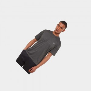 Camiseta The North Face Reaxion Amp Hombre Grises Oscuro | 94581-DRPG