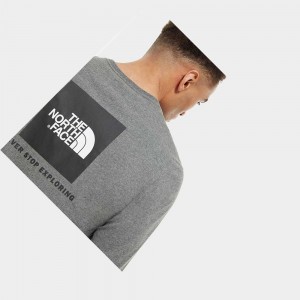 Camiseta The North Face Red Box Long-sleeve Hombre Grises | 06825-FKJO