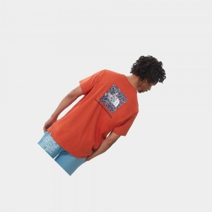 Camiseta The North Face Redbox Hombre Azules Grises | 48359-UQRB