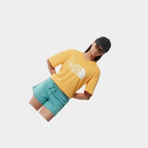 Camiseta The North Face Relaxed Summer Mujer Amarillos | 93652-UTNW