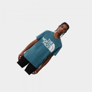 Camiseta The North Face Standard Hombre Azules | 50138-PJNS