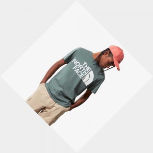 Camiseta The North Face Standard Hombre Verdes | 96831-JMBL