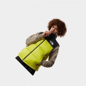 Chaleco The North Face 1996 Retro Nuptse Hombre Verdes | 57398-FUCB