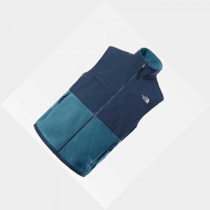 Chaleco The North Face Denali Hombre Azules | 61498-AYBI