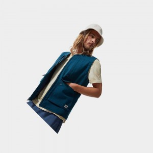 Chaleco The North Face Rostoker Hombre Azules | 95461-HPBI