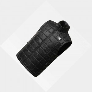 Chaleco The North Face Thermoball™ Eco Hombre Negros | 16720-RDEJ