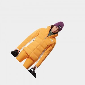 Chaqueta Impermeable The North Face Amry Mujer Naranjas Blancos | 28056-FRNK