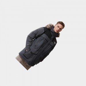 Chaqueta Impermeable The North Face Mcmurdo 2 Hombre Grises | 93872-DYNI