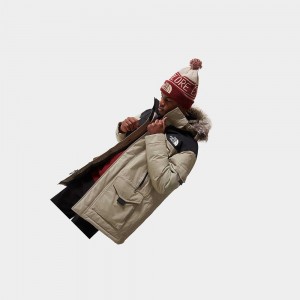 Chaqueta Impermeable The North Face Mcmurdo 2 Hombre Marrom Claro | 98427-DOZP