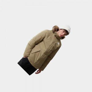 Chaqueta Impermeable The North Face Zaneck Hombre Marrom | 07231-WFAZ