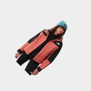 Chaqueta Softshell The North Face K2rm Dryvent Mujer Rosas | 24165-BJCU