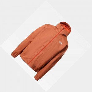 Chaqueta Softshell The North Face Quest Hooded Hombre Negros | 71206-CAQY