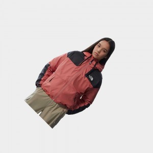 Chaqueta Softshell The North Face Sheru Mujer Rosas | 89107-TWPC