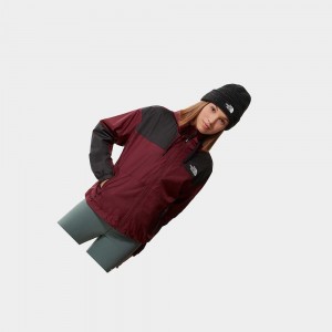 Chaqueta Softshell The North Face Sheru Mujer Rojos | 42591-RLSH