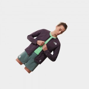 Chaqueta Softshell The North Face Ventrix™ Mujer Morados Oscuro | 02617-QTAG