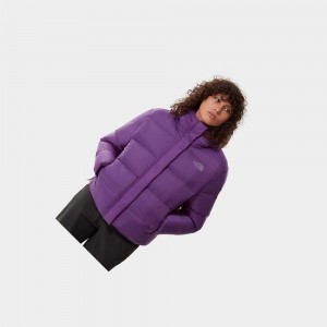 Chaquetas Aislantes The North Face City Standard Mujer Morados | 84072-FXTV