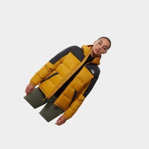 Chaquetas Aislantes The North Face Diablo Hooded Mujer Amarillos Negros | 01492-ROZU