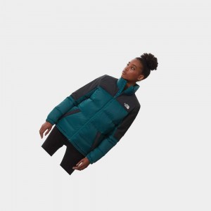 Chaquetas Aislantes The North Face Diablo Mujer Negros | 93217-PLJM