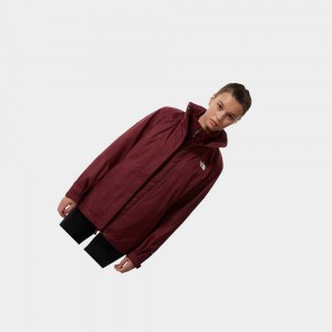 Chaquetas Aislantes The North Face Evolve Ii Triclimate® Mujer Rojos | 43160-DXUF