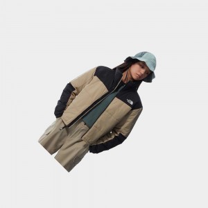 Chaquetas Aislantes The North Face Gosei Puffer Mujer Marrom Claro | 80712-JFPT