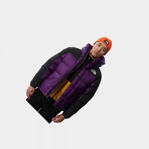 Chaquetas Aislantes The North Face Himalayan Hombre Morados | 49501-JWXV
