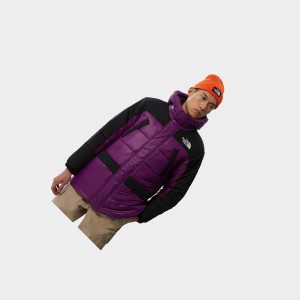 Chaquetas Aislantes The North Face Himalayan Hombre Morados | 06721-CLEN